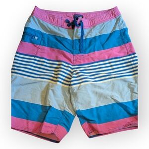 Patagonia Youth Boys 16 Blue Pink Stripes Board Shorts Trunks Swim Suit Beach